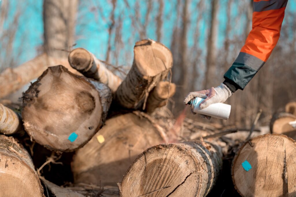 Bien stocker son bois de chauffage