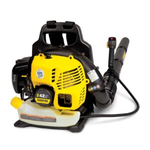 Souffleuse à feuilles sac à dos Champion Power Equipment 200934