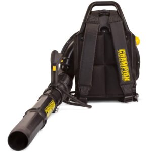 Souffleuse à feuilles à essence Champion Power Equipment 100443, 63 cm3