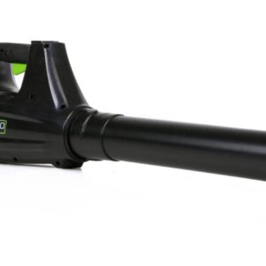 Souffleuse à feuilles sans fil Greenworks, 80 V