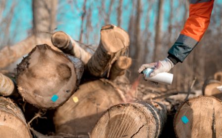 Bien stocker son bois de chauffage